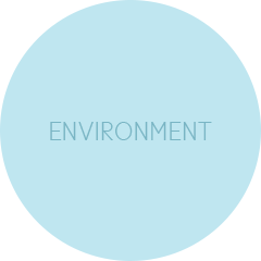 ENVIRONMENT